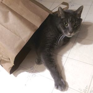 Meet your Posher, Tracy